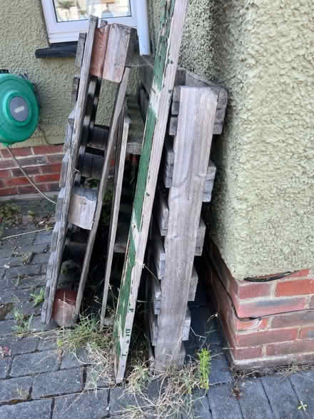 Photo of free 3 pallets and a plank (Shoreham-by-sea) #2