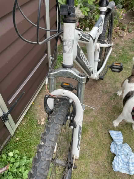 Photo of free Muddy fox bike (NG5 Basford) #2