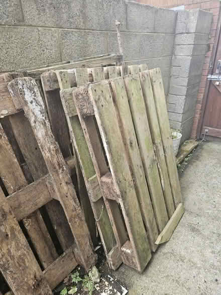 Photo of free Firewood (Naas) #1