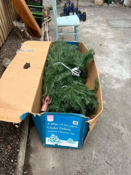 Photo of free 6 ft Christmas tree (Bare LA4) #1