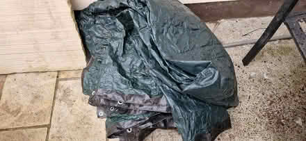 Photo of free Allotment (Booterstown) #4