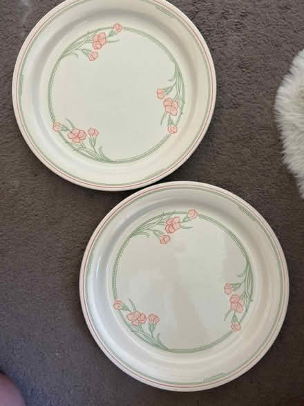 Photo of free Set of two large dinner plates (Barking IG11) #1