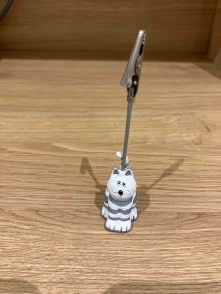 Photo of free Cat Photo Clip (Aston CH5) #1