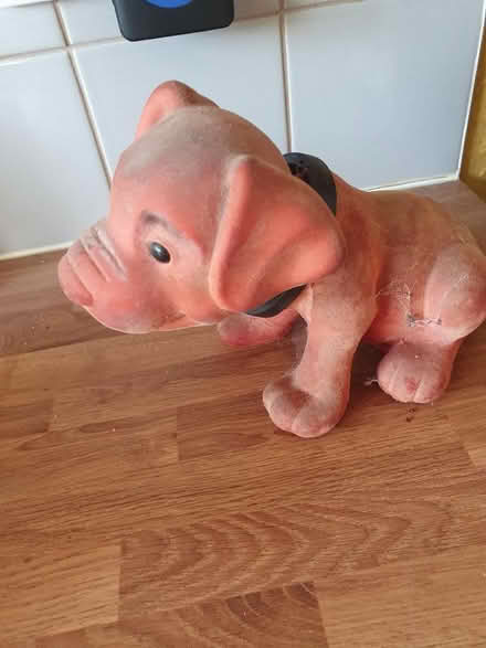 Photo of free Nodding dog (Enfield EN2) #1