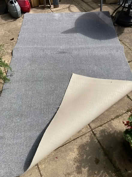 Photo of free Brand new carpet (Northchurch HP4) #2