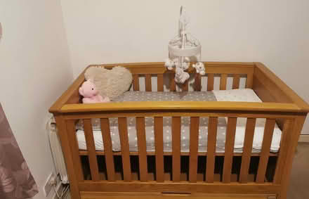 Photo of free Solid wood cot (Thonhill FK8) #2