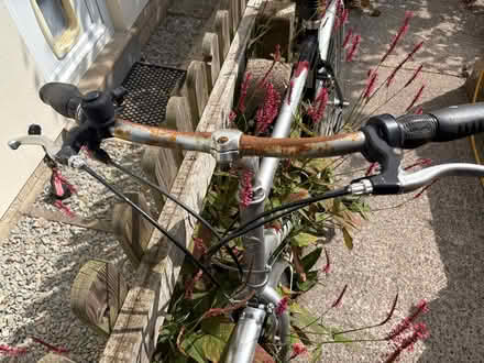 Photo of free Mountain Bike (GL5) #3