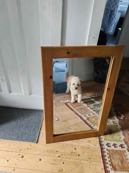 Photo of free Pine Mirror (Greasby) #1