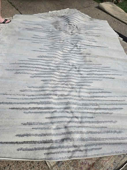 Photo of free Several area rugs (palisades) #2