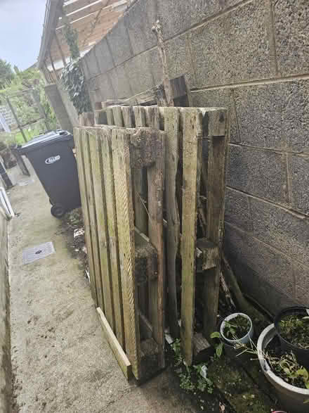 Photo of free Firewood (Naas) #2