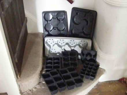 Photo of free garden trays to give away this week only (New Brighton CH45) #1