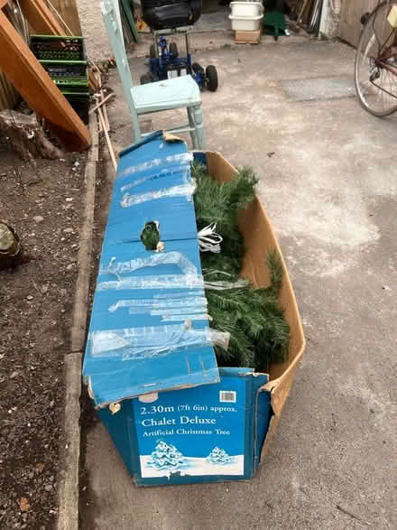 Photo of free 6 ft Christmas tree (Bare LA4) #2