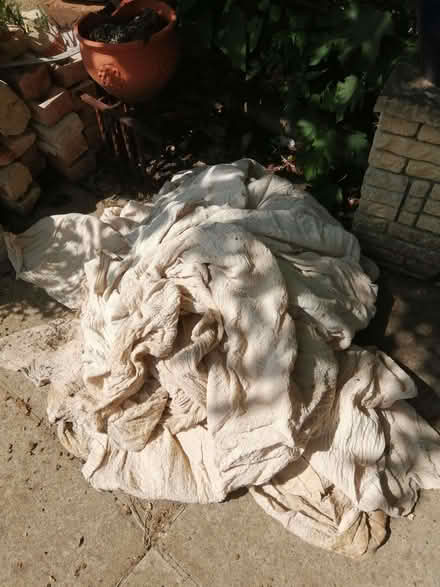 Photo of free Calico dust sheets (Cowley OX4) #1