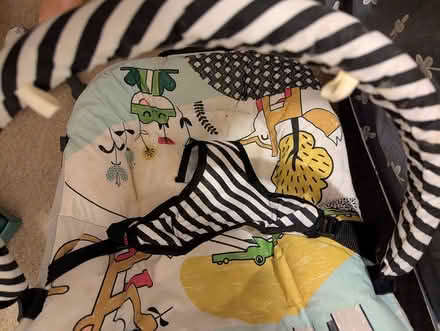 Photo of free Baby bouncer (Castle area) #4