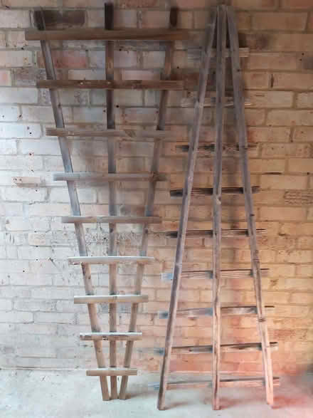 Photo of free 🌿 Trellis x 2 for Garden (Little Sandhurst GU47) #1