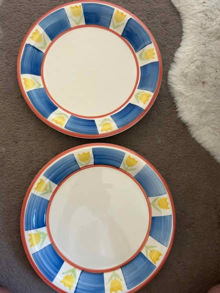 Photo of free two large dinner plates (Barking IG11) #1