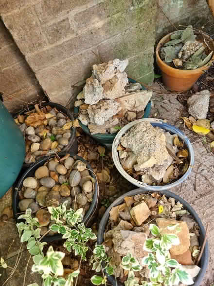 Photo of free Garden pebbles and rubble (Wells BA5) #1