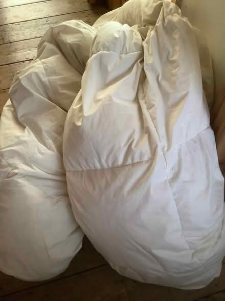 Photo of free Duvet (Whitehawk BN2) #1
