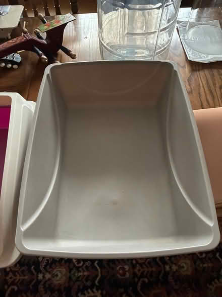 Photo of free Cat litter boxes and mat (Park-Monroe Neighborhood) #4