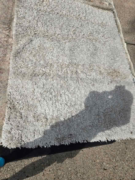 Photo of free Several area rugs (palisades) #3
