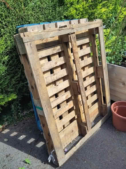 Photo of free Pallets (Dean Court OX2) #1