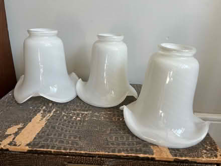Photo of free Three small opaline glass shades (Long Ditton, KT6) #1