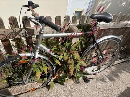 Photo of free Mountain Bike (GL5) #1