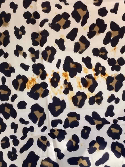 Photo of free Shower curtain (Agar Grove NW1) #2