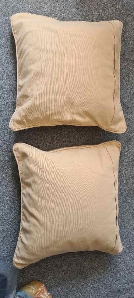 Photo of free Cushions x 2 (Beckenham BR3) #2