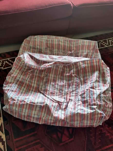 Photo of free 2 large bags for storage or travel (St James, Exeter) #1