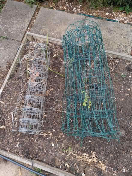 Photo of free Rolls of coarse mesh fencing (Cheltenham GL51) #1