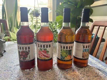 Photo of free Shrub 4 bottles (Belmont-Watertown) #1