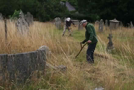 Photo of free Green Hay (Stoke St Milborough SY8) #1