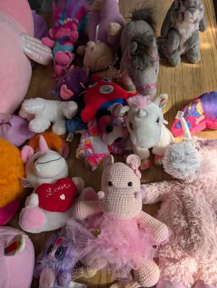 Photo of free Big bag of soft toys (Broomgrove TN34) #4