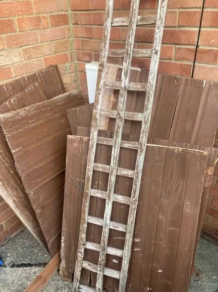 Photo of free Firewood (Leckhampton GL53) #3