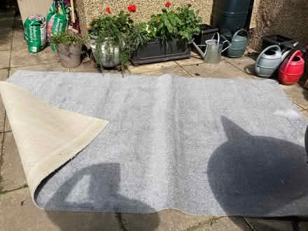 Photo of free Brand new carpet (Northchurch HP4) #1