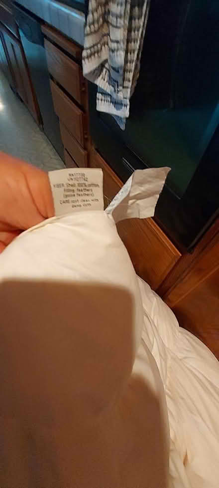 Photo of free Feather Mattress Pad (Penngrove) #3
