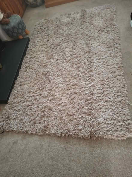 Photo of free Biege/mink coloured rug (Sheffield Crookes S10) #1