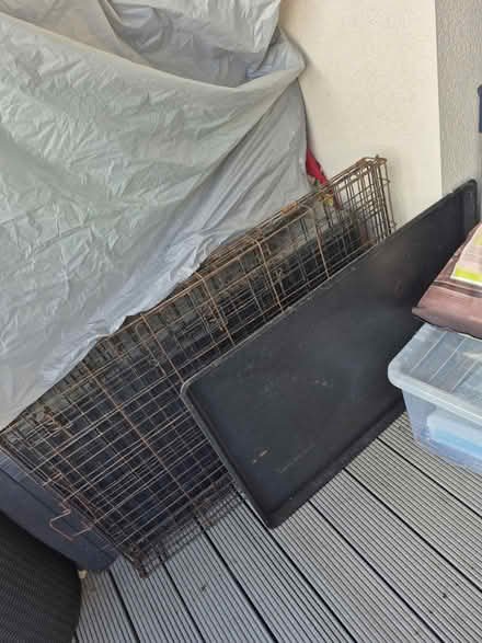 Photo of free Dog cage (D2) #1