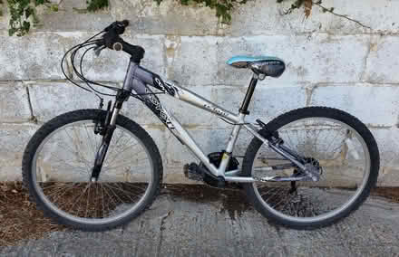 Photo of free bike : please read the post (Whitehawk BN2) #4