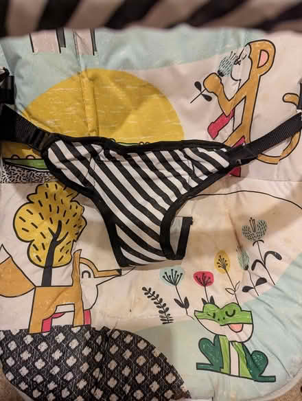 Photo of free Baby bouncer (Castle area) #3