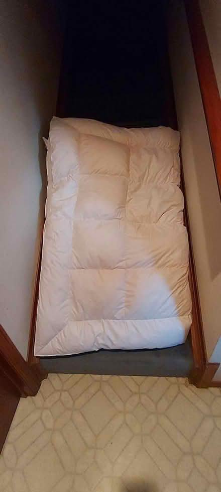 Photo of free Feather Mattress Pad (Penngrove) #1