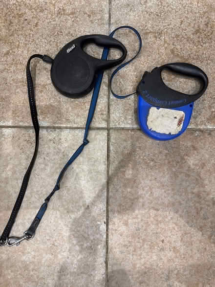 Photo of free 2 extendable dog leads (Hitchin (South)) #1