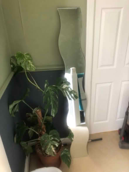 Photo of free Wiggly mirror (Wisewood S6) #1