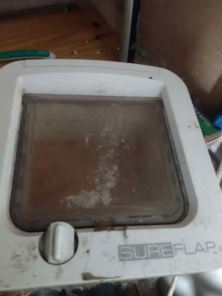 Photo of free Cat Flap (Shiregreen S5) #2