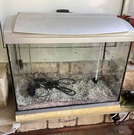 Photo of free Fish tank (Sopwell AL1) #1