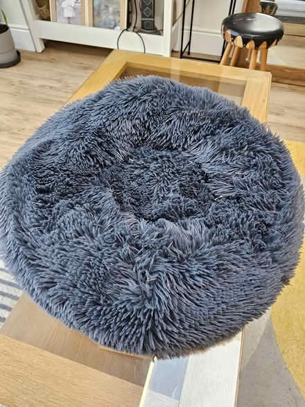 Photo of free Therapeutic Cat Bed (DA1) #1