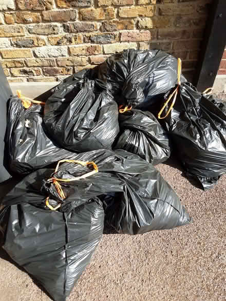 Photo of free Turf (Keston BR2) #2