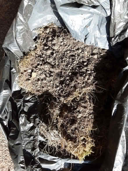 Photo of free Turf (Keston BR2) #4