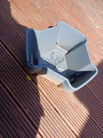 Photo of free Potato planters (Larkhall) #2